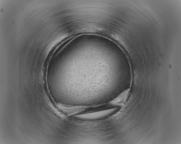 X0000089971026200707131417