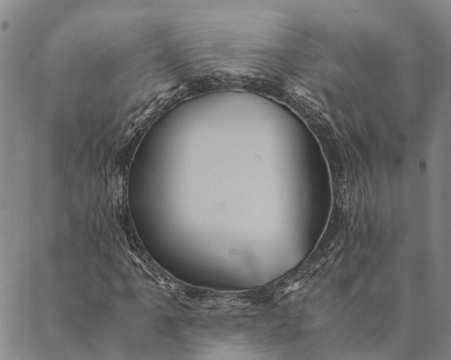 X0000089971061200707131417