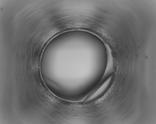 X0000089971073200707131417