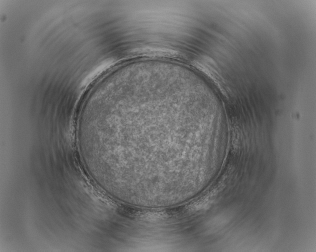 X0000089971074200707131417