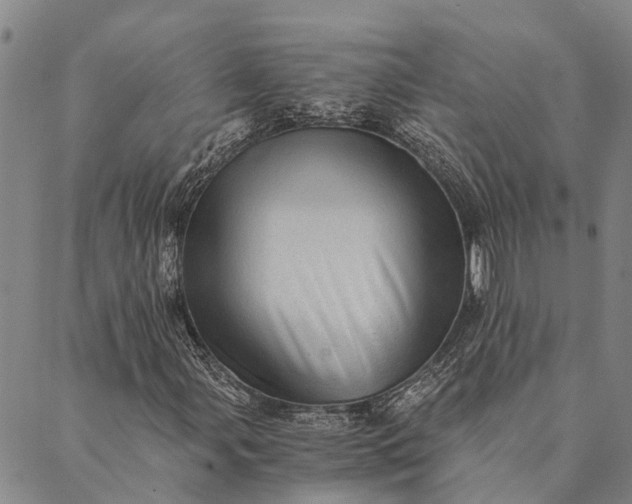 X0000089971107200707131416