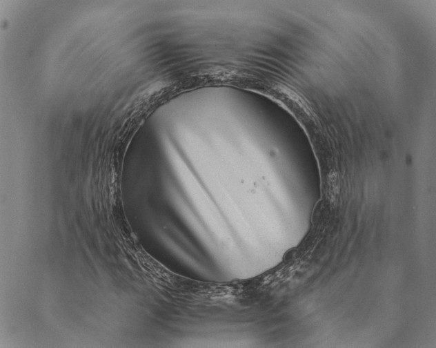 X0000089971111200707131416