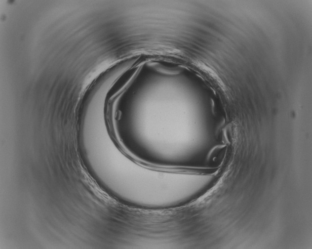 X0000089971114200707131416