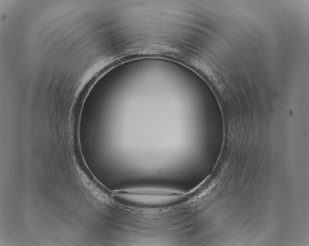 X0000089971122200707131416