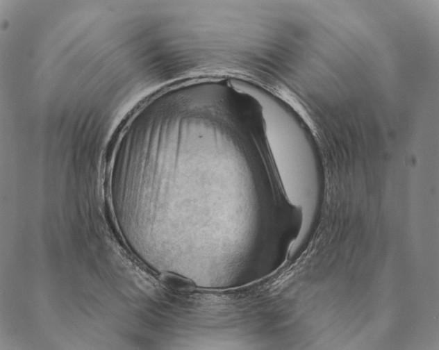 X0000089971124200707131416