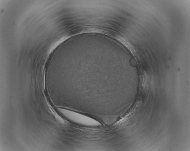 X0000089971127200707131416