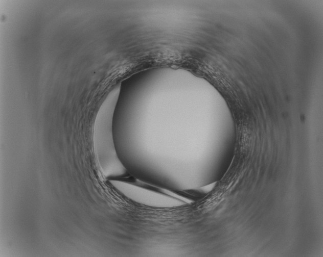 X0000089971153200707131416