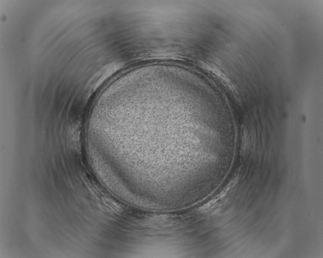X0000089971162200707131415