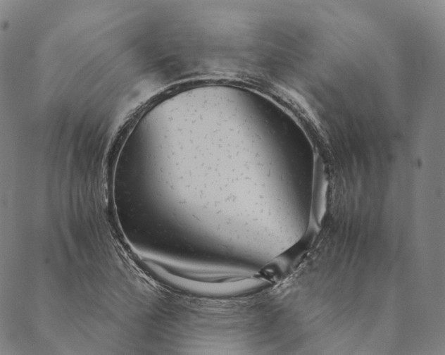 X0000089971172200707131415