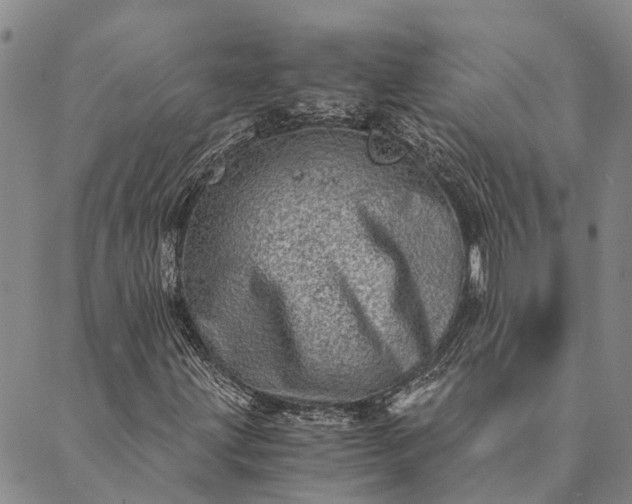 X0000089971203200707131414