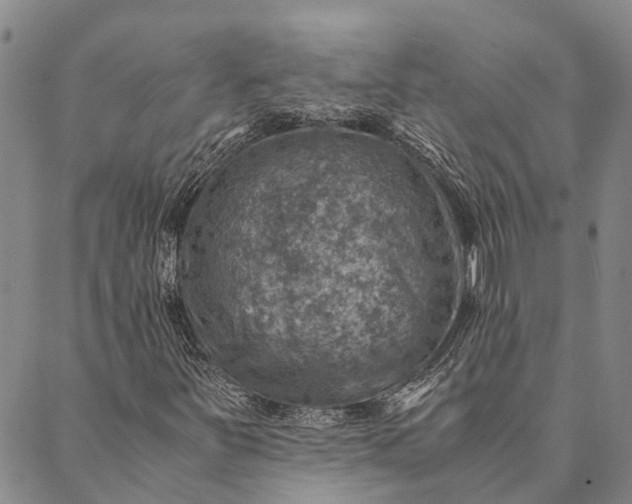 X0000089971251200707131414