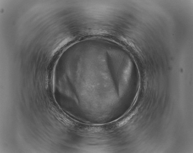 X0000089971306200707131413