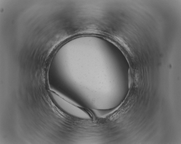 X0000089971356200707131412