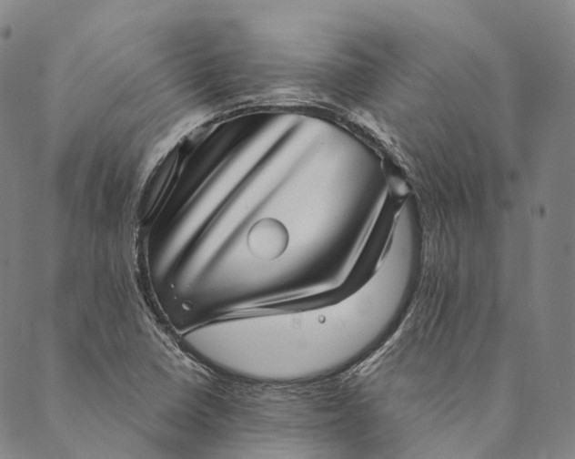 X0000089971410200707131411