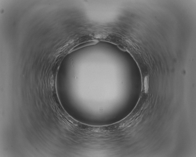 X0000089971443200707131411