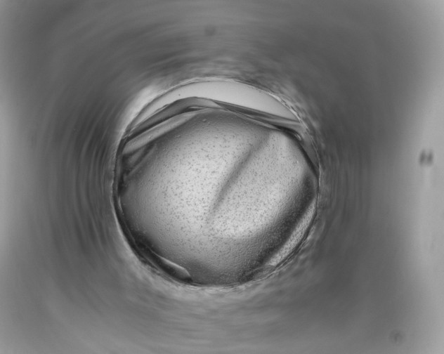 X0000089970003200707202021