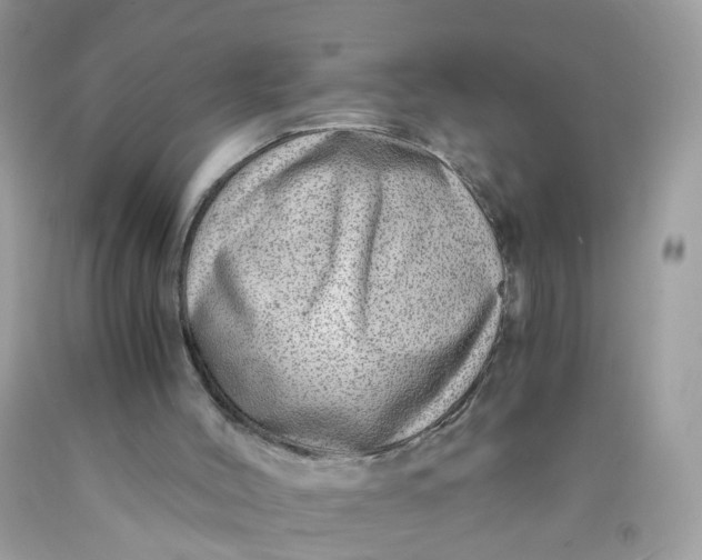 X0000089970004200707202021