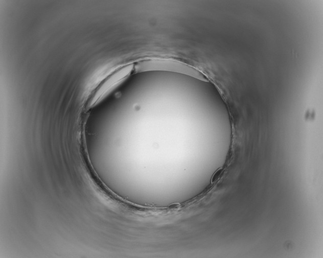 X0000089970005200707202021