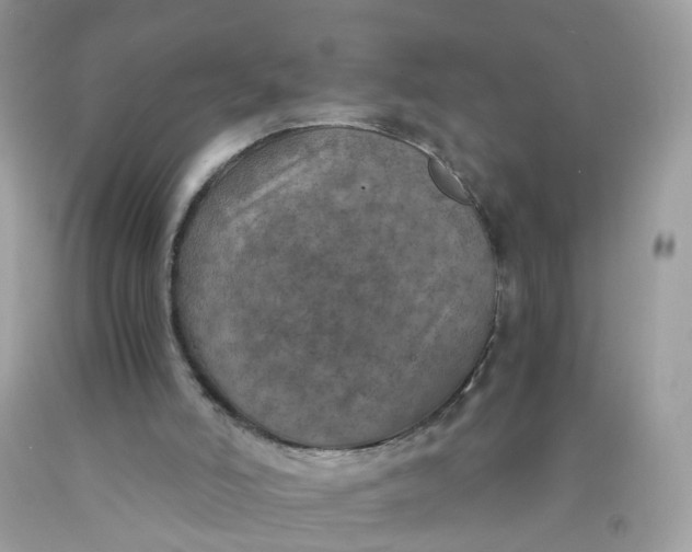 X0000089970006200707202021