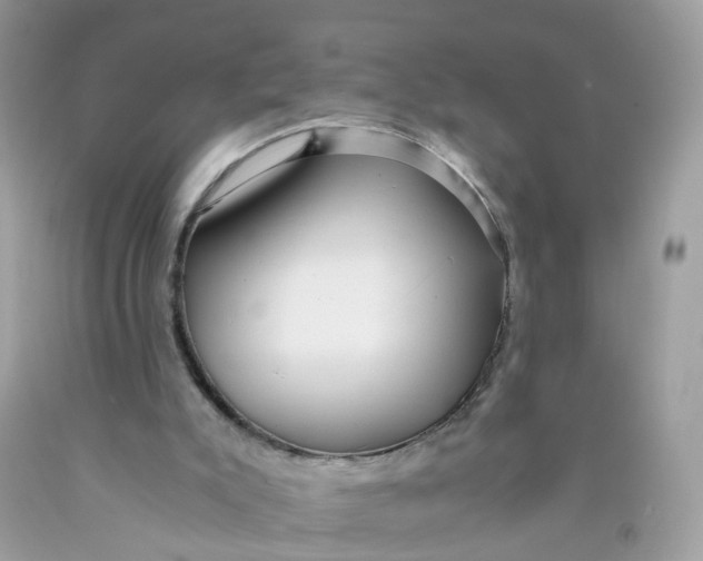 X0000089970007200707202021