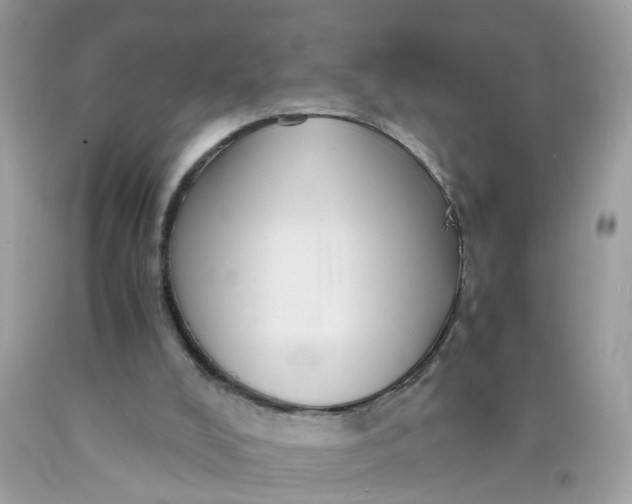 X0000089970008200707202020