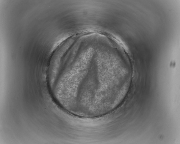 X0000089970010200707202020