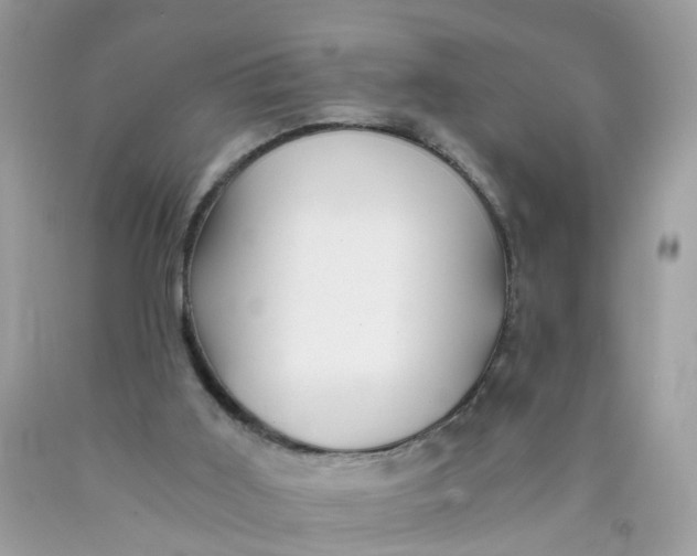 X0000089970011200707202020