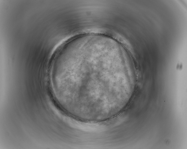 X0000089970012200707202020