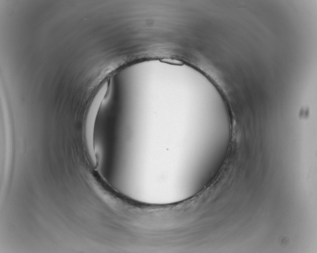 X0000089970013200707202020