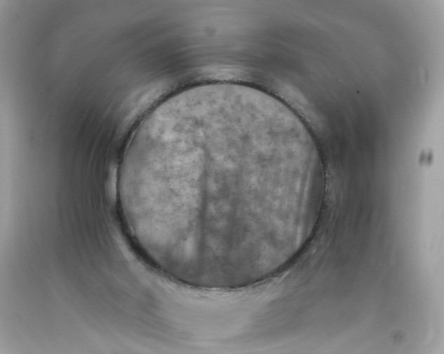 X0000089970014200707202020