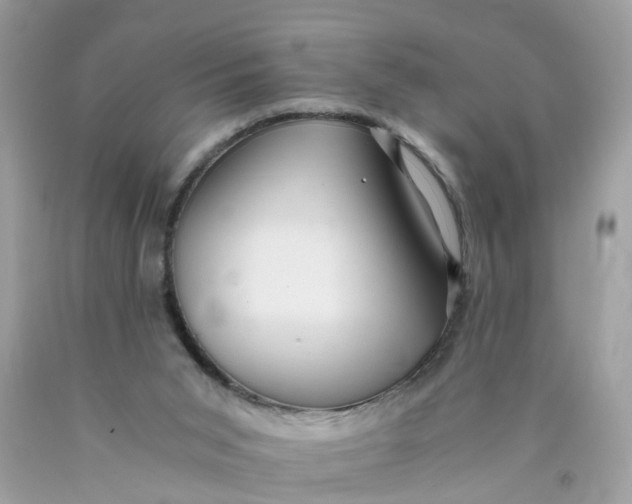 X0000089970015200707202020