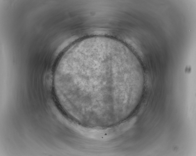 X0000089970016200707202020