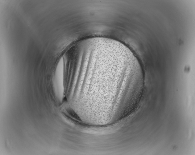 X0000089970017200707202020