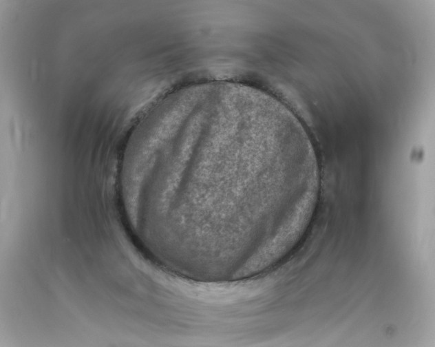 X0000089970018200707202020