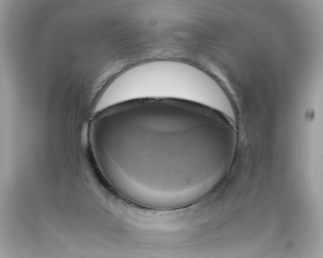 X0000089970019200707202020