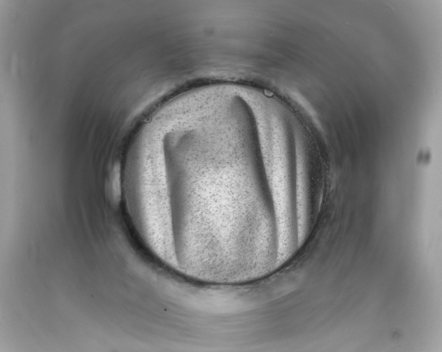 X0000089970020200707202020