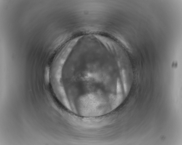 X0000089970022200707202020