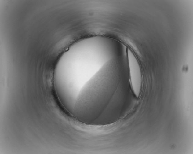 X0000089970023200707202020