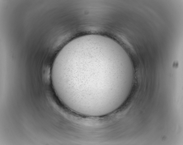 X0000089970024200707202020