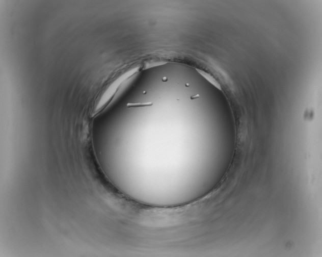 X0000089970025200707202020