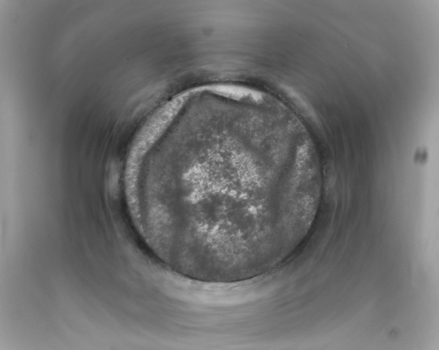 X0000089970026200707202020