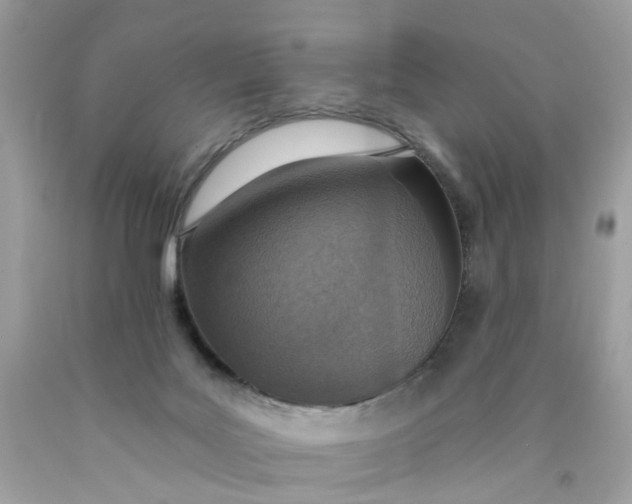 X0000089970027200707202020