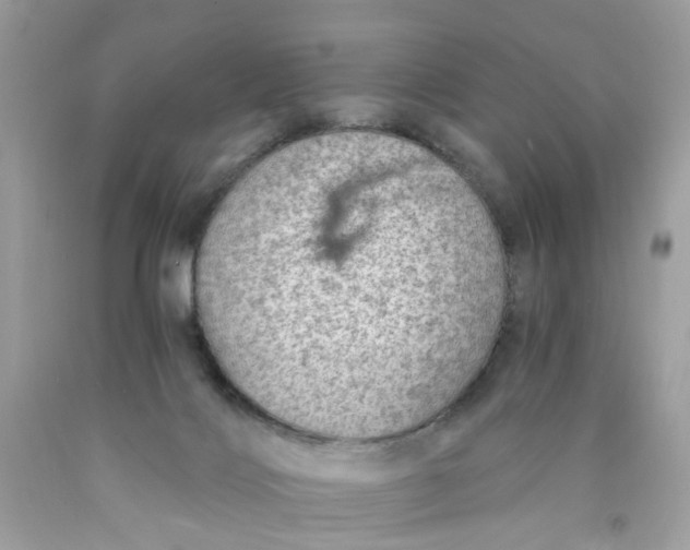 X0000089970028200707202020