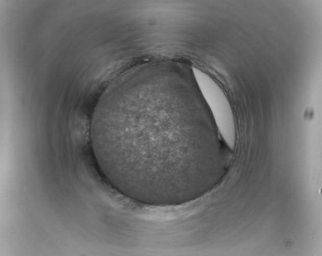 X0000089970029200707202020