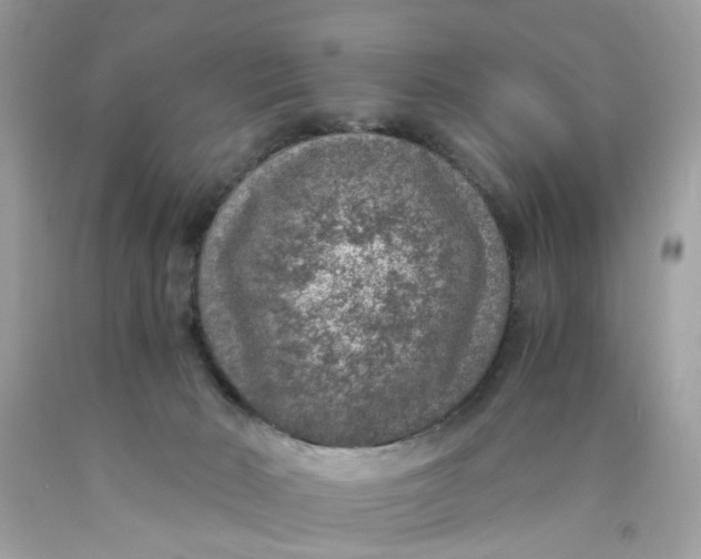 X0000089970030200707202020