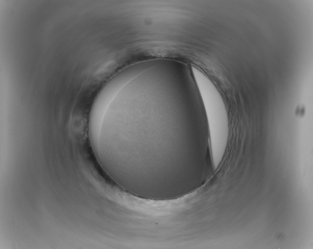 X0000089970031200707202020