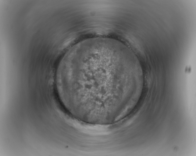 X0000089970032200707202020