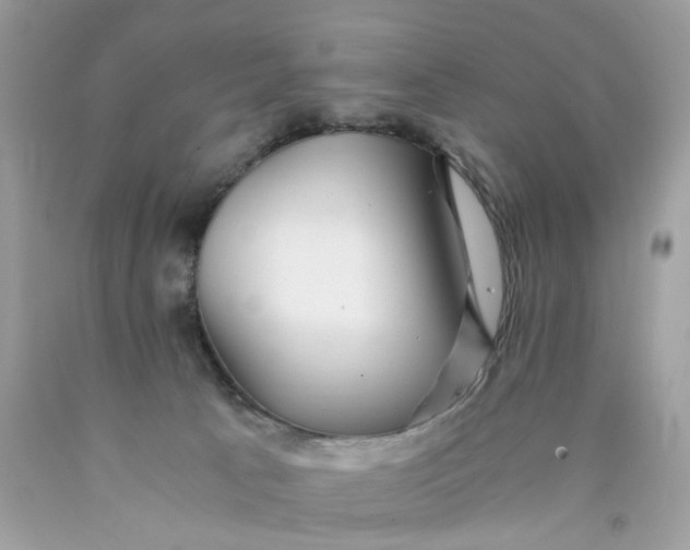 X0000089970033200707202020