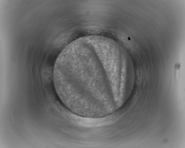 X0000089970034200707202020