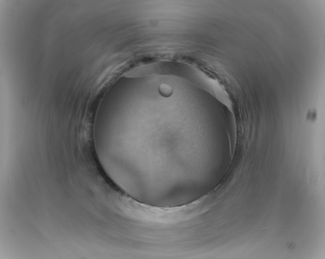 X0000089970035200707202020